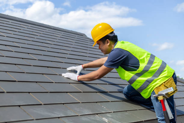 Best Metal Roofing Contractor  in Leupp, AZ