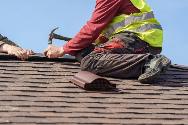 Best Roof Leak Repair  in Leupp, AZ